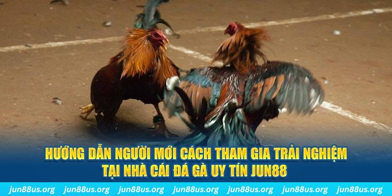 sunwun loi game dot kich ket noi may chu that bai