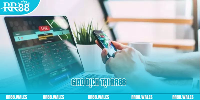 sunwun gà chọi c1.com trực tiếp 888