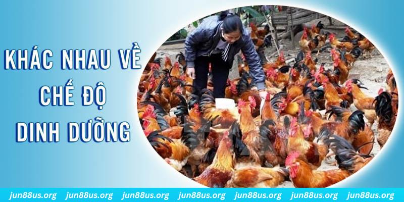 sunwun xổ số miền nam thứ năm hàng tuần