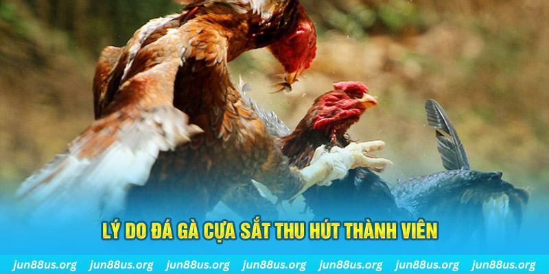 sunwun chiếm slot là gì