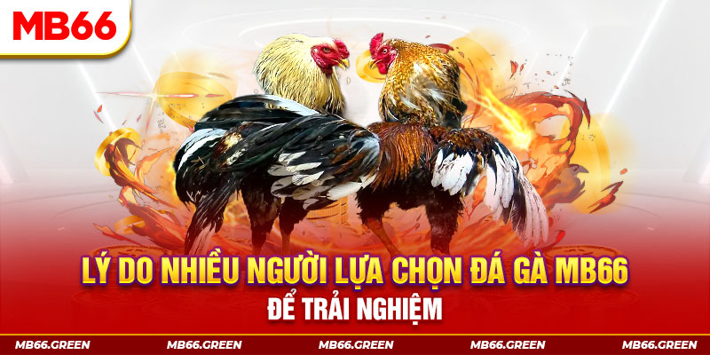 sunwun KA Điện Tử