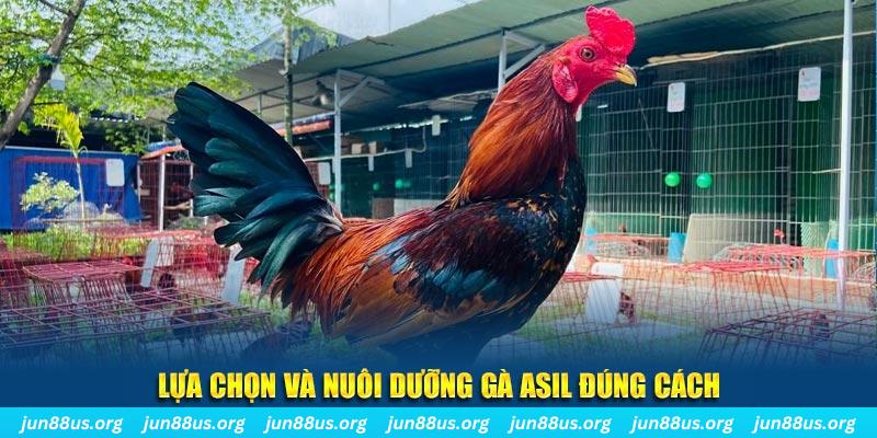 sunwun xổ số đài bắc