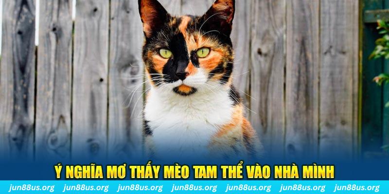 sunwun RTG Bắn cá