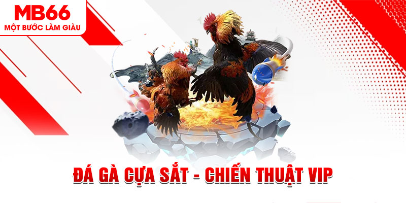sunwun xổ số trực tiếp hôm nay