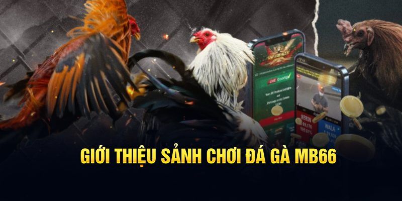 sunwun đăng nhập poker hôm nay